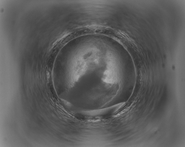 X0000067351302200604030924