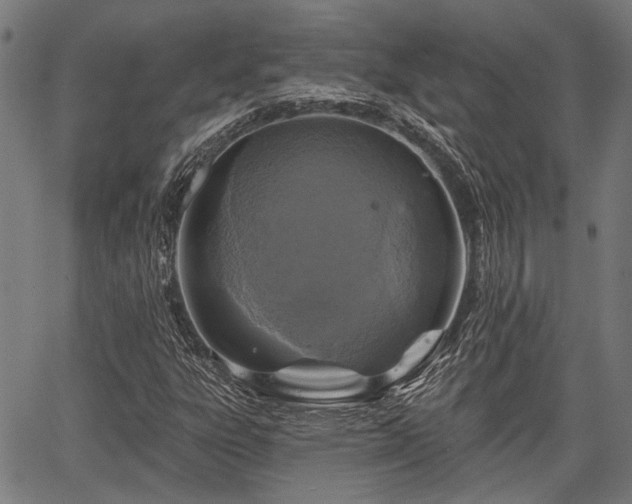 X0000067351303200604030924