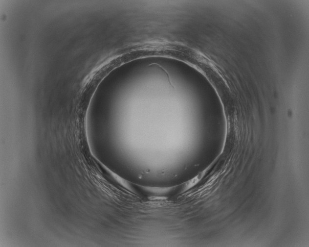 X0000067351304200604030924