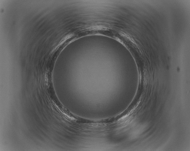 X0000067351305200604030924