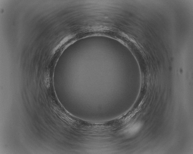 X0000067351306200604030924