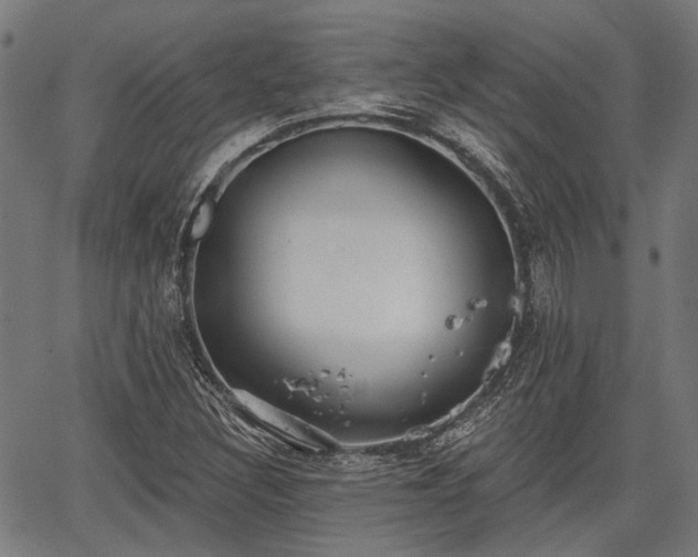 X0000067351308200604030924