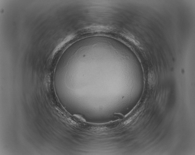 X0000067351309200604030924