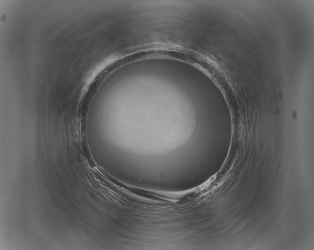 X0000067351310200604030924