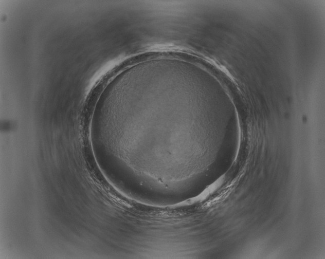 X0000067351311200604030924