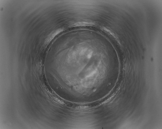 X0000067351313200604030924