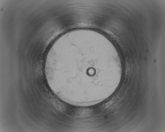 X0000067351314200604030924