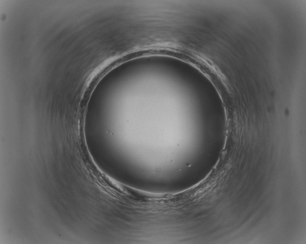 X0000067351316200604030924