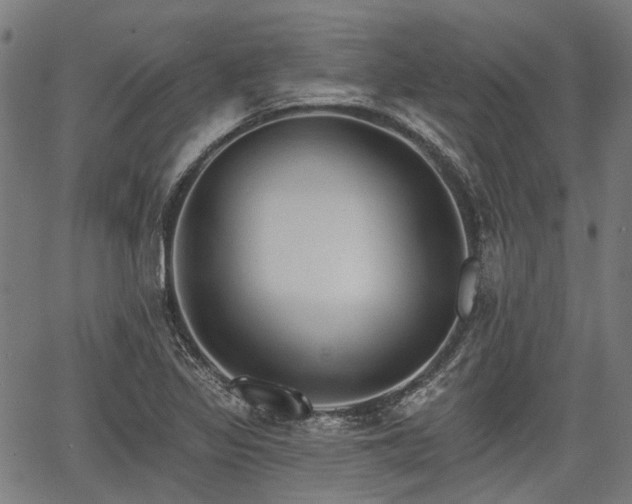 X0000067351317200604030924