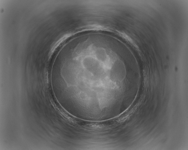 X0000067351318200604030924