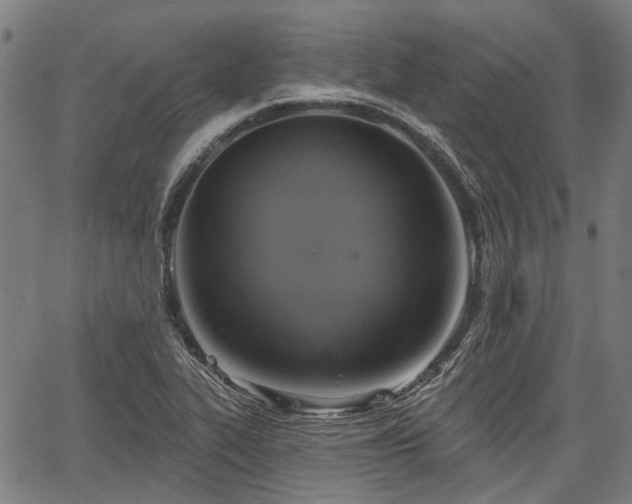 X0000067351319200604030924