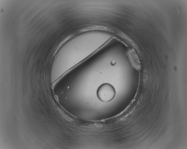 X0000067351321200604030924