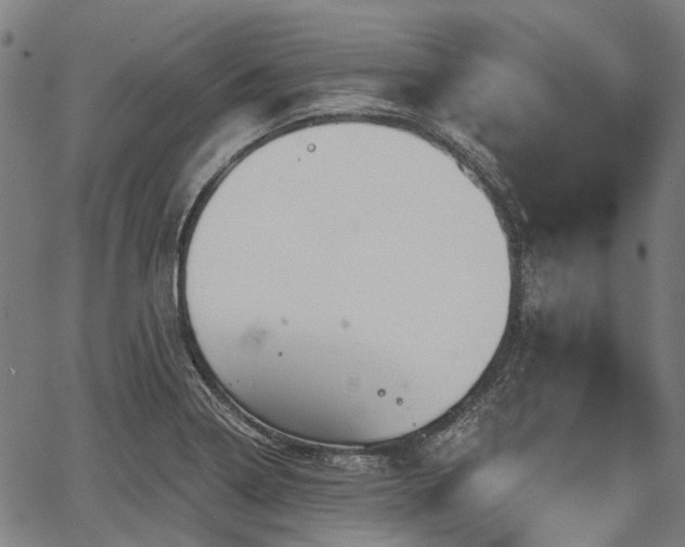 X0000067351322200604030924