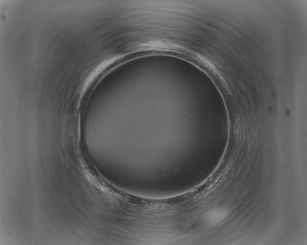 X0000067351323200604030924