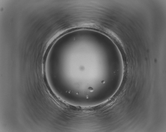 X0000067351324200604030924