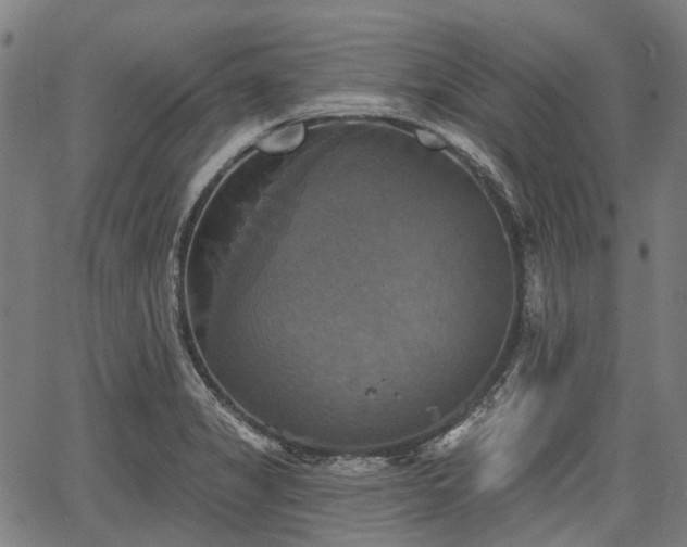 X0000067351325200604030924