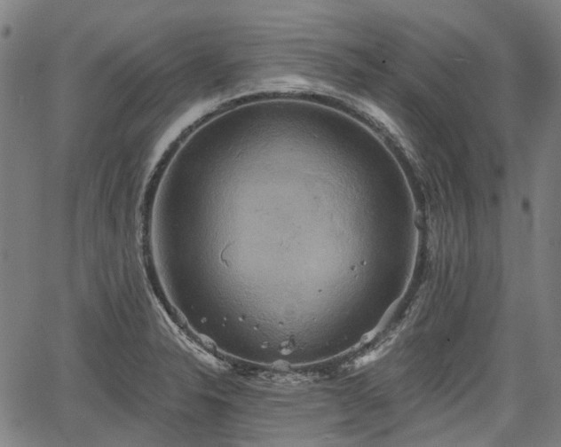 X0000067351326200604030924