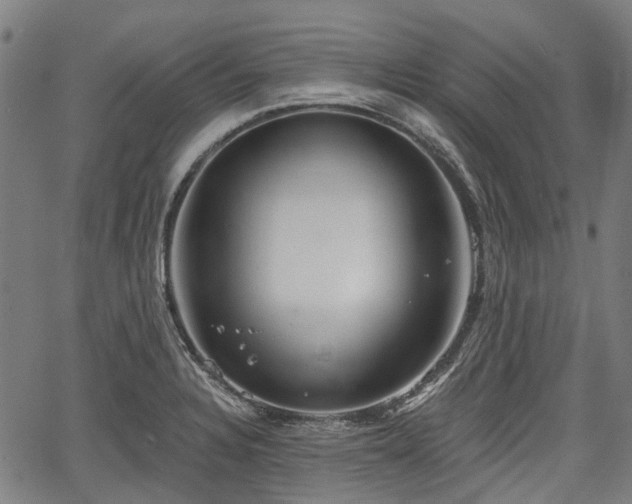 X0000067351328200604030924