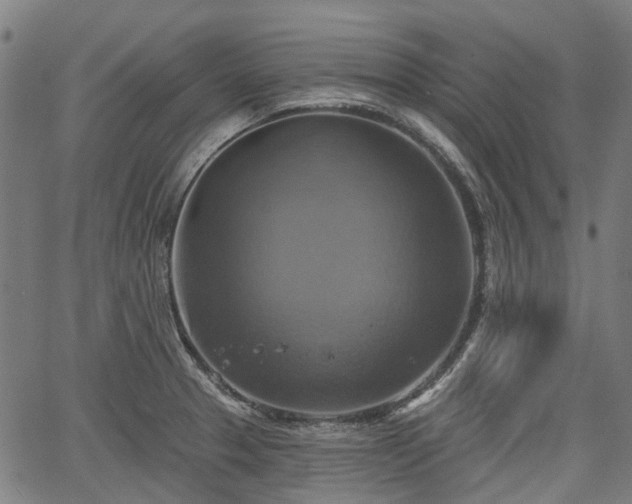 X0000067351329200604030924