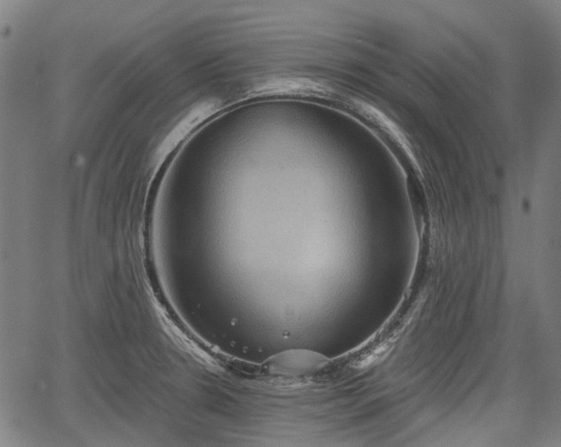 X0000067351330200604030924