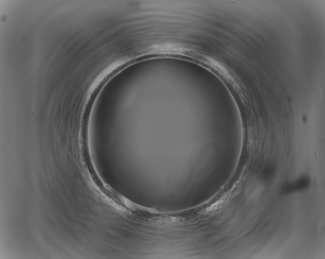 X0000067351331200604030924