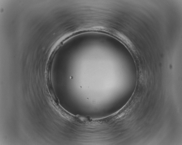 X0000067351332200604030924