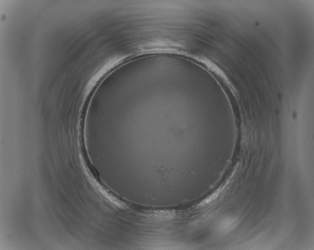 X0000067351333200604030924