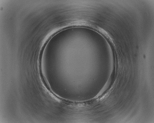 X0000067351334200604030924