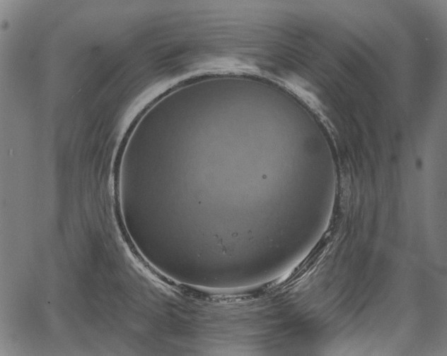 X0000067351335200604030924