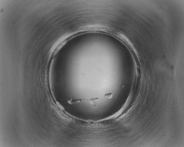 X0000067351336200604030924