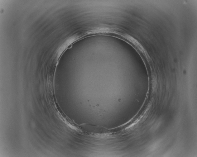 X0000067351337200604030924