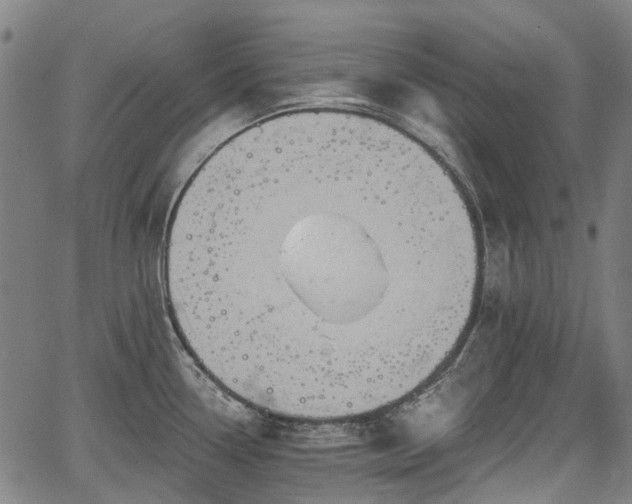 X0000067351338200604030924