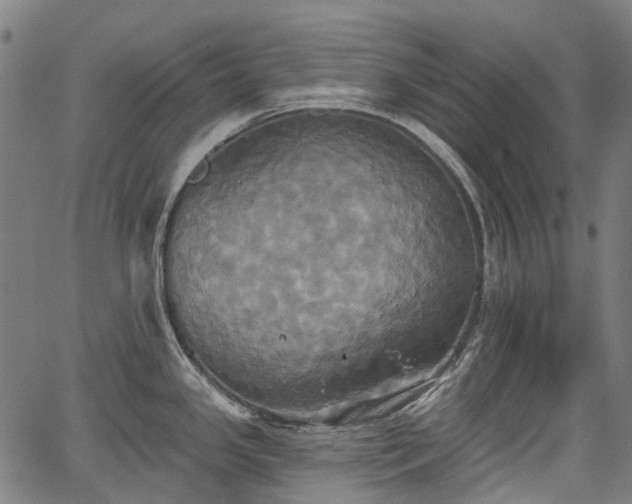 X0000067351341200604030924