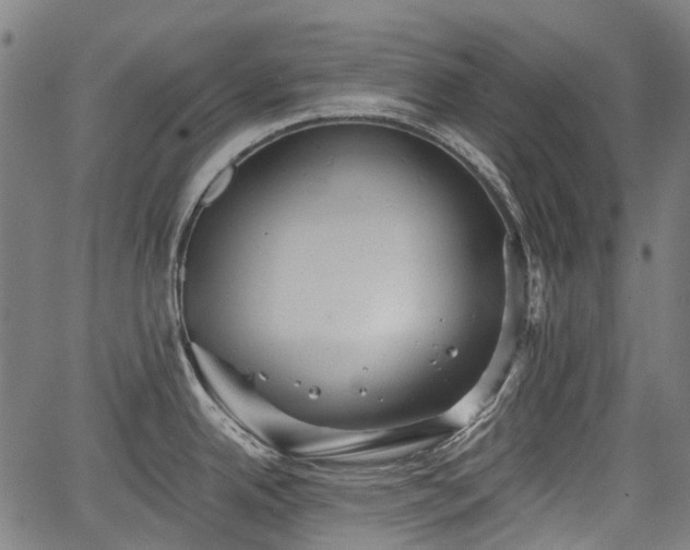 X0000067351342200604030924