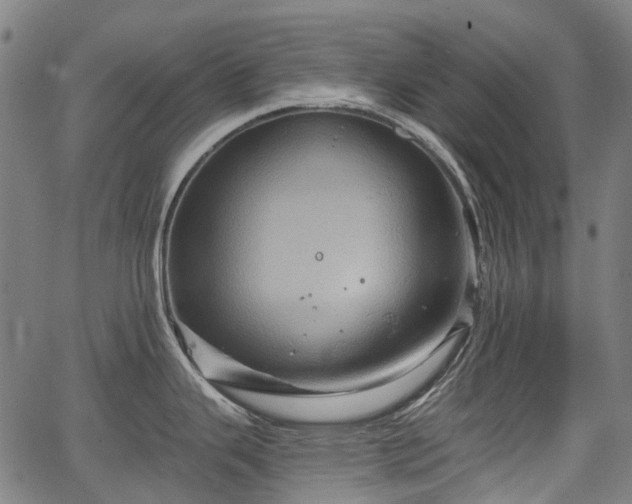 X0000067351343200604030924