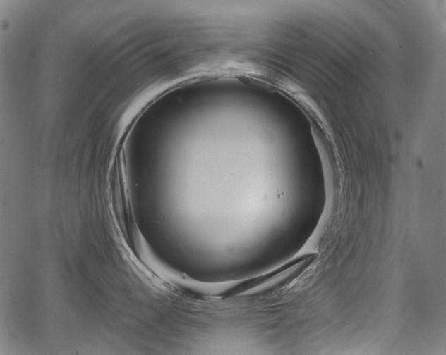 X0000067351344200604030924