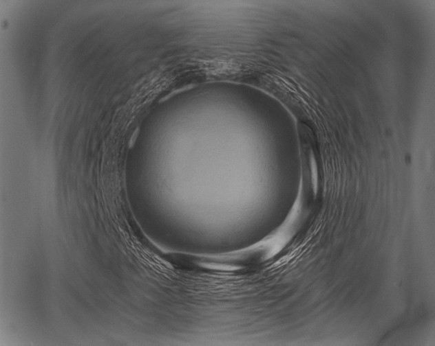 X0000067351345200604030924