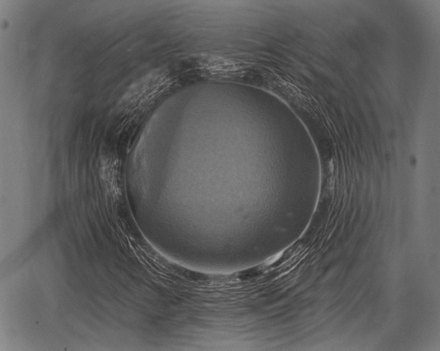 X0000067351346200604030924