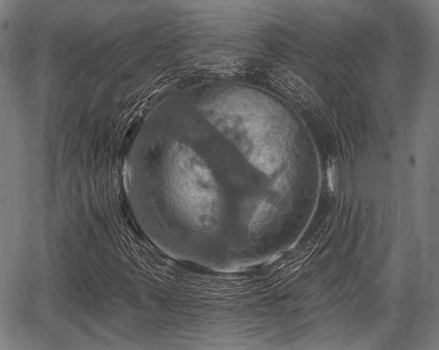 X0000067351347200604030924