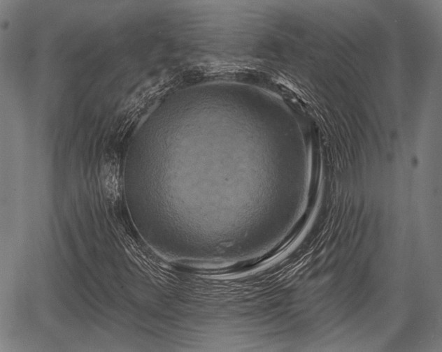 X0000067351348200604030924