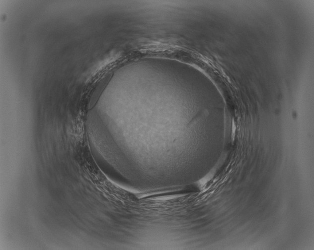 X0000067351350200604030924