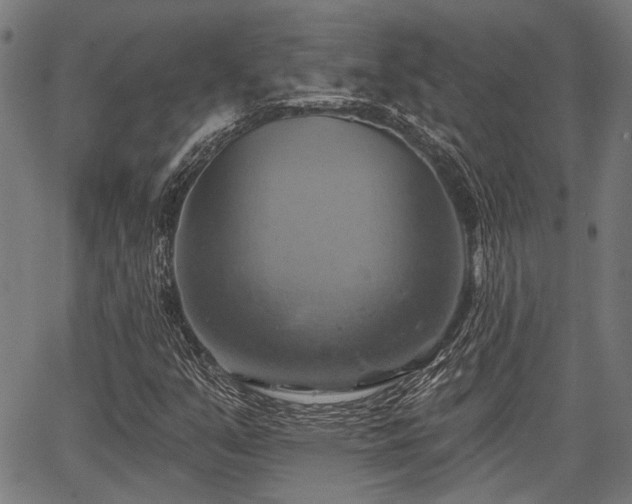 X0000067351351200604030924