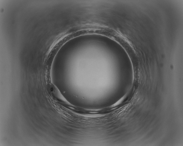 X0000067351352200604030924