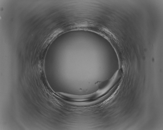 X0000067351353200604030924