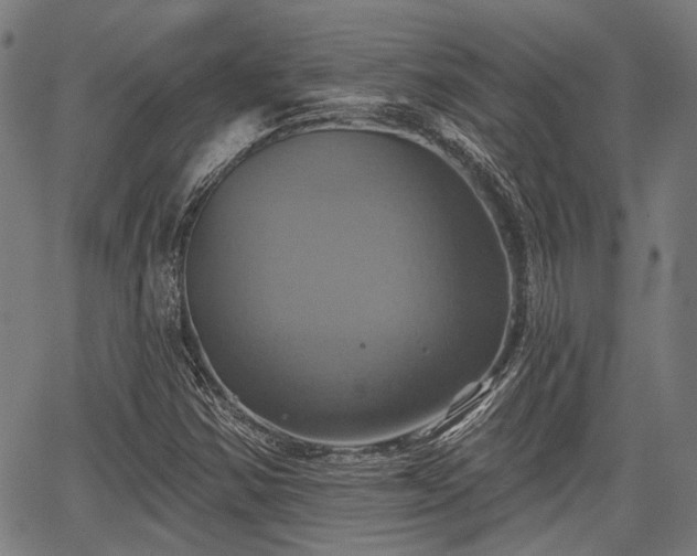 X0000067351354200604030924