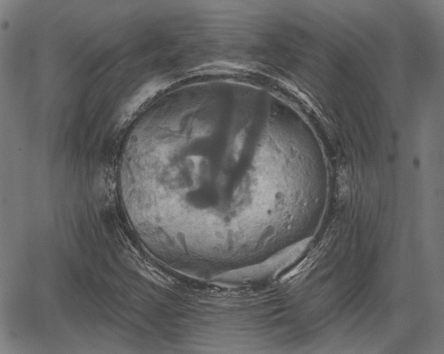 X0000067351355200604030923