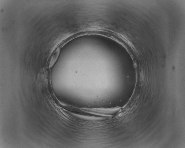 X0000067351356200604030923