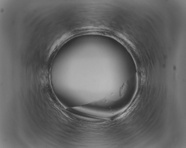 X0000067351357200604030923