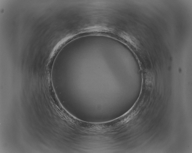 X0000067351358200604030923