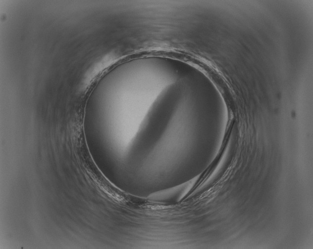 X0000067351359200604030923